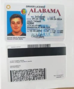 Buy Alabama Driver's License and ID Card 5