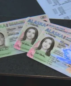 Buy Alaska Driver's License