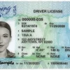 Buy Wyoming id cards