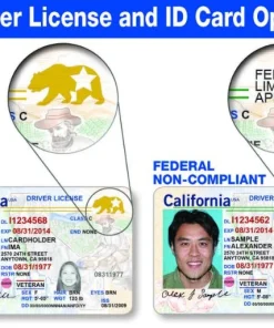 Buy California Driver's License and ID Card 2026