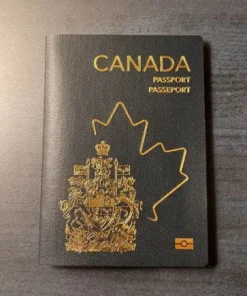 Buy fake passport onlineregistered passport for sale Buy German residence permit Get US visa without interview Buy Schengen visa online