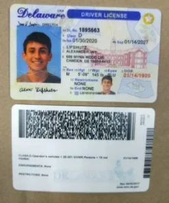 Buy Delaware Driver's License and ID Card