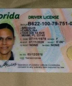 Buy Florida Driver's License and ID Card