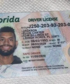 Buy Florida Driver's License and ID Card 5