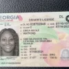 Buy Georgia Driver's License and ID Card 2026 5