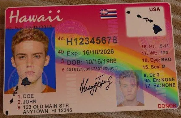 Buy Hawaii Driver's License and ID Card 1 Buy Hawaii Driver's License and ID Card
