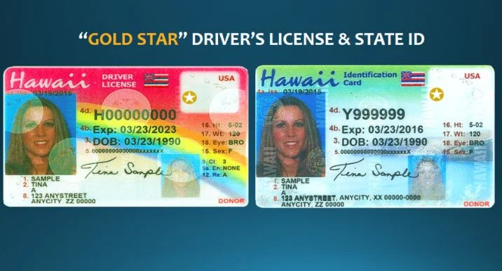 Buy Hawaii Driver's License and ID Card 2 Buy Hawaii Driver's License and ID Card - Image 2