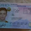 Buy Idaho Driver's License and ID Card 4
