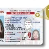 Buy Illinois Driver's License and ID Card 2026 5