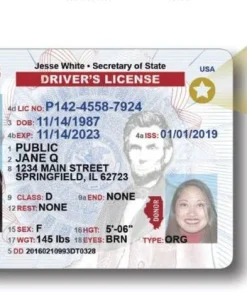 Buy Illinois Driver's License and ID Card 2026