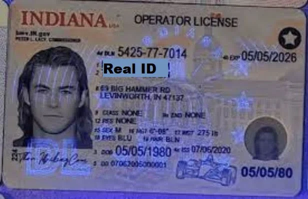 Buy Indiana Driver's License and ID Card 2026 2 Buy Indiana Driver's License and ID Card 2026 - Image 2