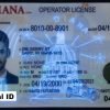 Buy Indiana Driver's License and ID Card 2026 3