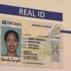 Buy Kentucky Driver's License and ID Card 4