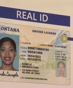 Buy Kentucky Driver's License and ID Card
