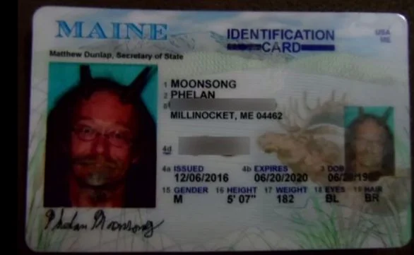 Buy Maine Driver's License and ID Card 2 Buy Maine Driver's License and ID Card - Image 2