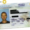 Buy Maine Driver's License and ID Card 2