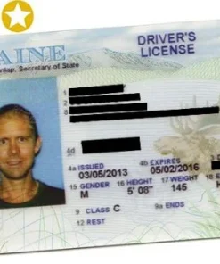 Buy Maine Driver's License and ID Card