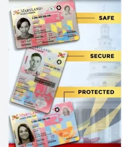 Buy Maryland Driver's License and ID Card
