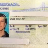 Buy Michigan Driver's License and ID Card 2026 5