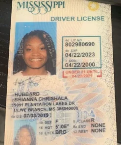 Buy Mississippi Driver's License and ID Card