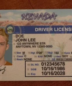 Buy Nevada Driver's License and ID Card