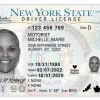 New York Driver’s License and ID Card sample