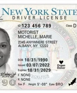 New York Driver’s License and ID Card sample