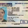 Buy Pennsylvania Driver's License or ID Card 2 BUY Pennsylvania Driver’s License and ID Card
