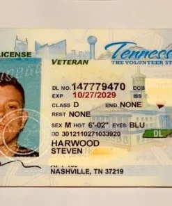 Buy Tennessee Driver's License and ID Card | TN DL and IDs