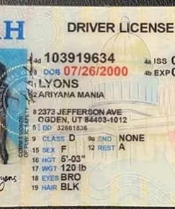 Buy 2025 Utah Driver’s License & ID Card