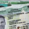 Buy Vermont Driver's License and ID Card 2026 4