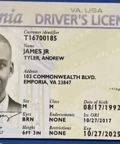 Buy Virginia Driver's License and ID Card