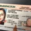 Washington Driver's License