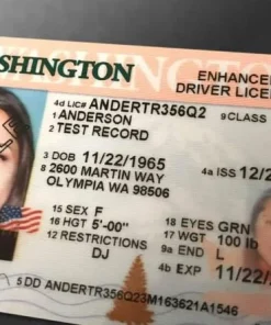 Washington Driver's License