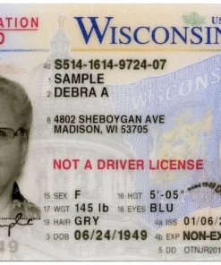 Wisconsin Driver's License and ID Card