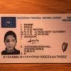 Ireland driver’s licence