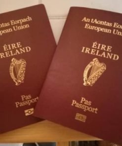 Ireland Passport Online