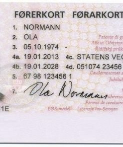 Buy Netherlands Driver's License
