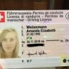 Buy Swiss Driver's License 2 Swiss Driver's License
