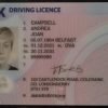 Genuine UK Driving Licence